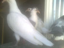 Image0521