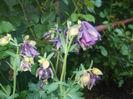 DSCF0461