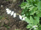 DSCF0466