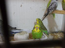 Picture 013