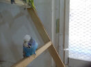 Picture 001