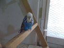 Picture 002