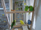 Picture 004