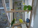 Picture 005