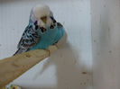 Picture 007