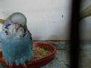 Picture 010