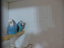 Picture 012