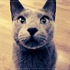 # ..:o3..