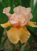 DSC03495