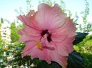 DSC06650