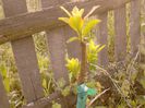 IMG_20130502_184735
