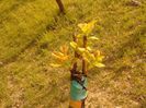 IMG_20130502_182401