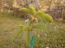 IMG_20130502_183834