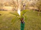 IMG_20130502_183844