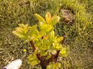 IMG_20130502_184118