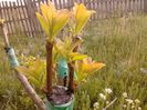 IMG_20130502_184547