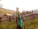 IMG_20130502_184608