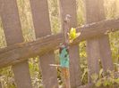 IMG_20130502_184725