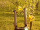 IMG_20130502_182422