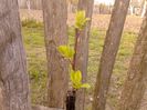 IMG_20130502_183921