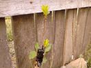 IMG_20130502_183941