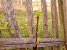IMG_20130502_184003