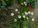 DSCN7957
