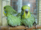 Picture 007