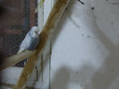 Picture 010