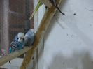Picture 011