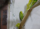 Picture 014