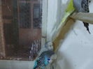 Picture 015