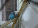 Picture 017