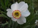 DSCN4285