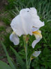 DSCN4293
