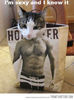 Funny cat