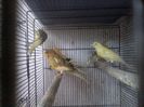 P03-05-13_11.55[2]