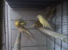 P03-05-13_12.02[3]