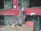 20130501_192005