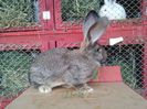 20130501_192242