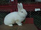 20130501_185728