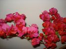 DSC06689
