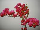 DSC06691
