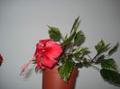 DSC06721