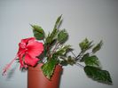 DSC06722