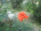 DSC03550