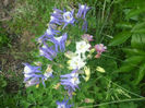 DSCF0490
