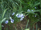 DSCF0493