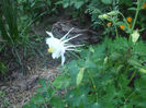 DSCF0507