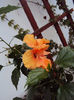 DSC03266